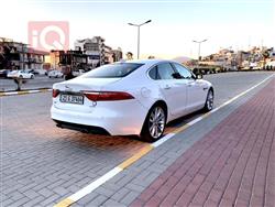 جاگوار XF